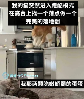 定点打击（9gag）今日meme[超话] 今日memes ​​​