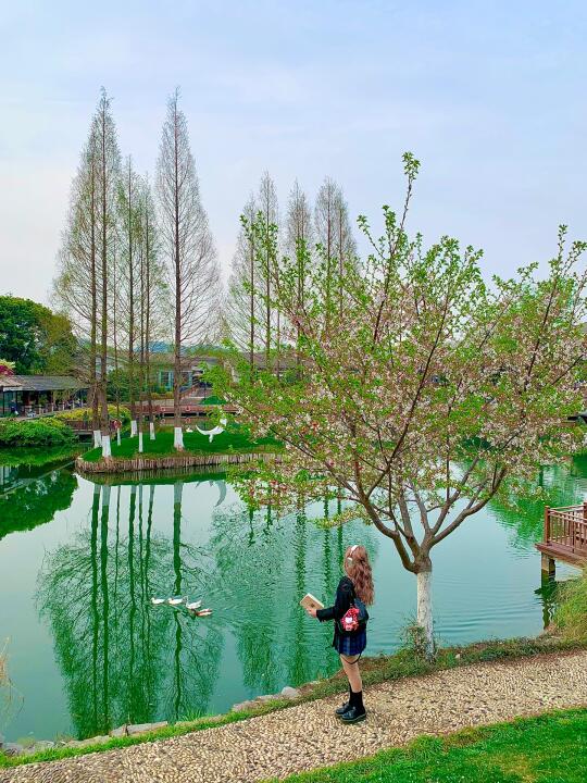朋圈问爆了的南京小众秘境🌿🌸真的美哭了😭