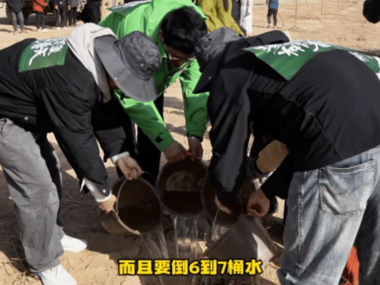杭州年轻人的团建方式更新了杭州一公司开启193500棵梭梭树种植杭州年轻人团建刷