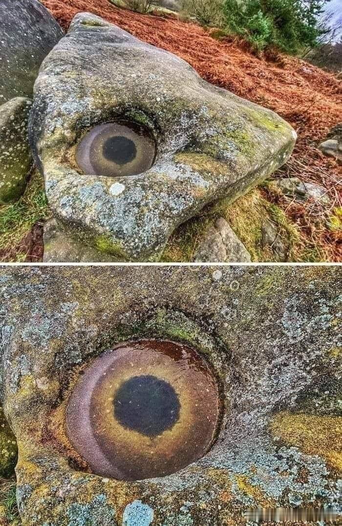 👀