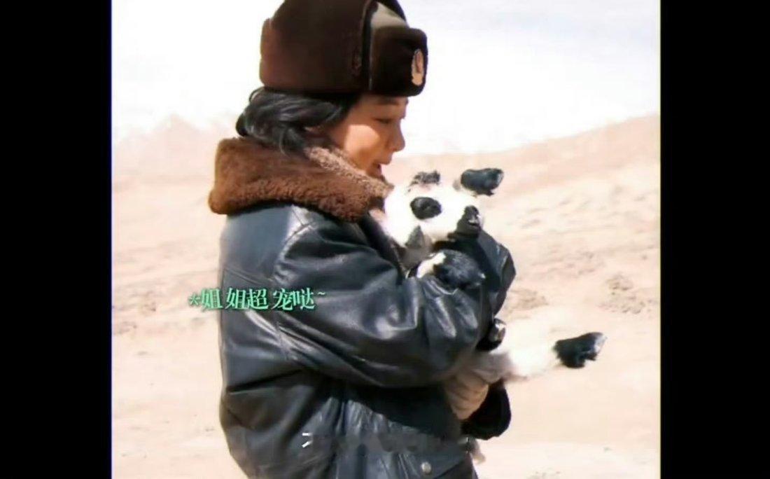杨紫和小羊生生合照 两只可爱的“小🐏”，杨紫白菊警官你好呀[哇][心] ​​​