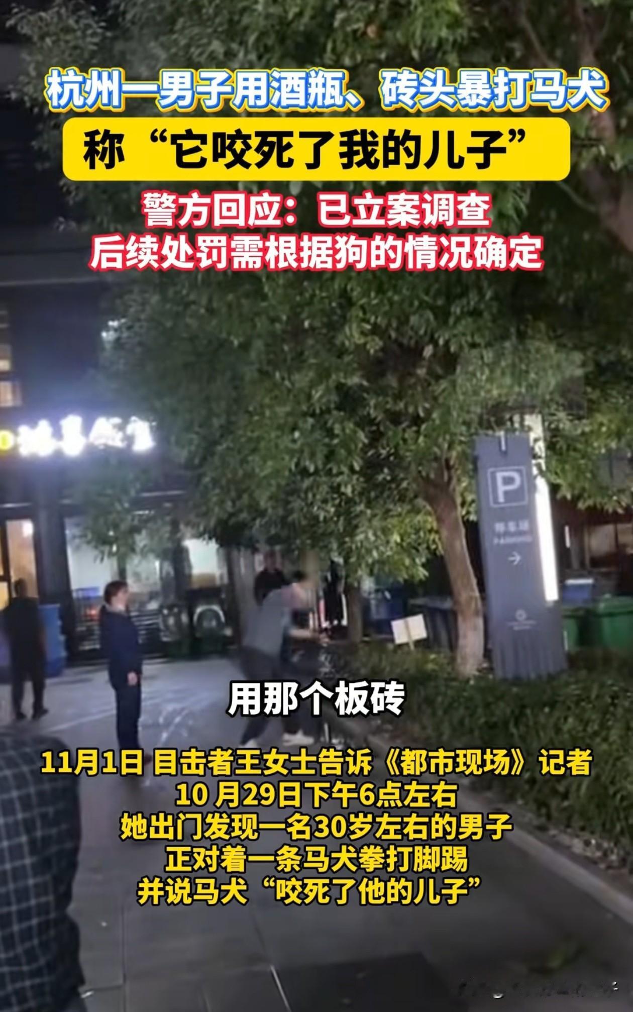 杭州虐打马犬的男子估计惨了，不仅要赔偿对方，大概率还会被刑拘！

第一、网传这条