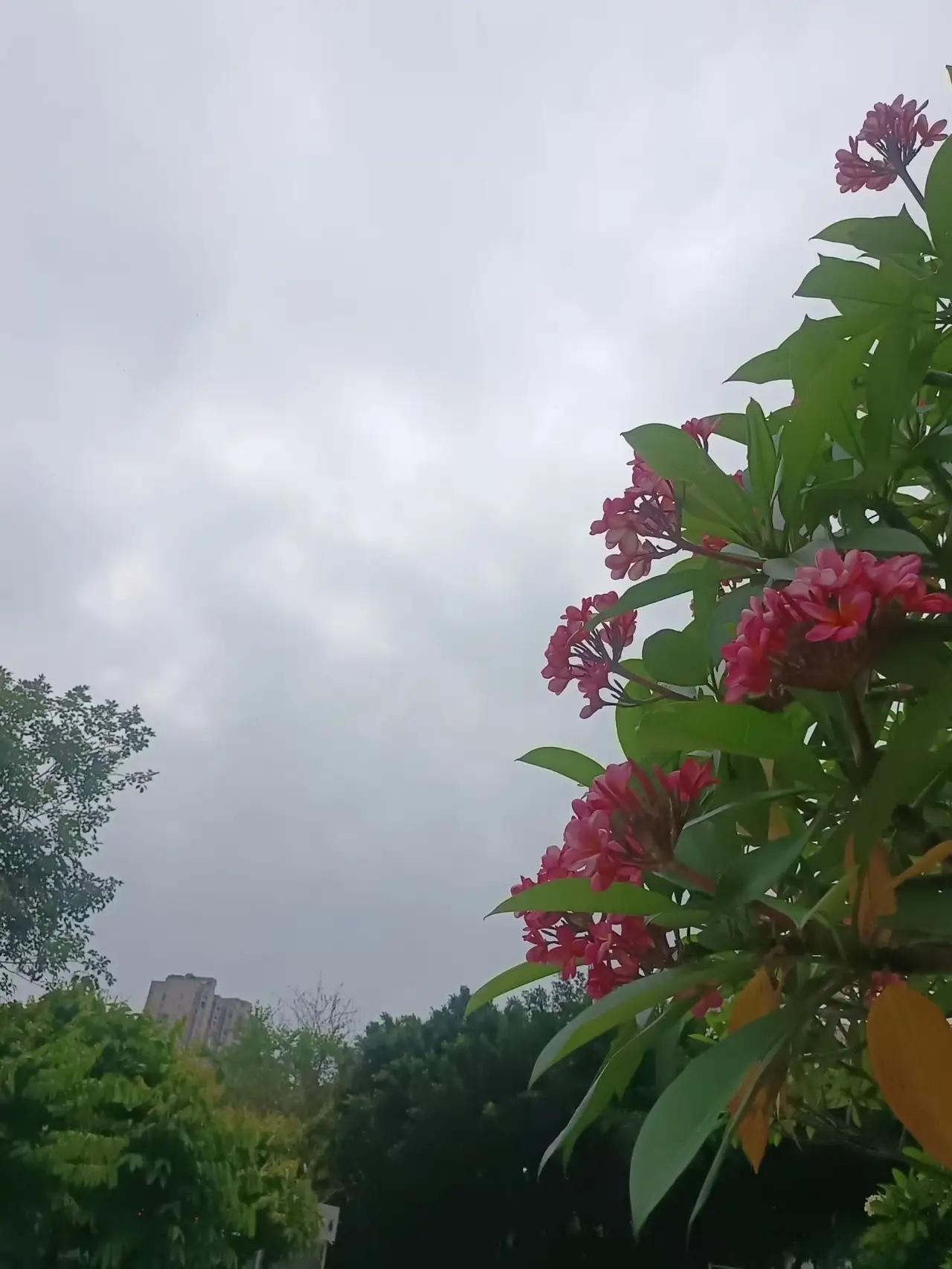周一市场值得关注板块：1，人形机器人产业链2，物理AI产业链3，商业航天4，6G