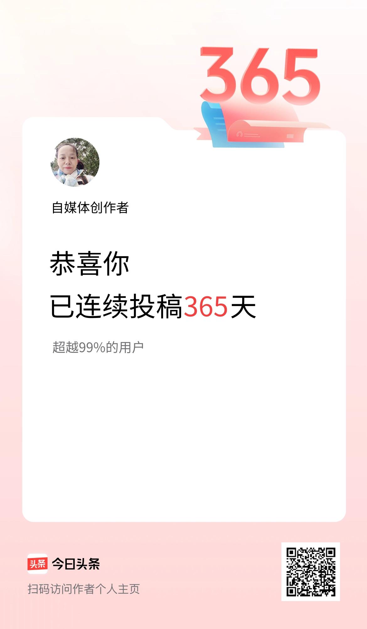 我在头条连续投稿365天