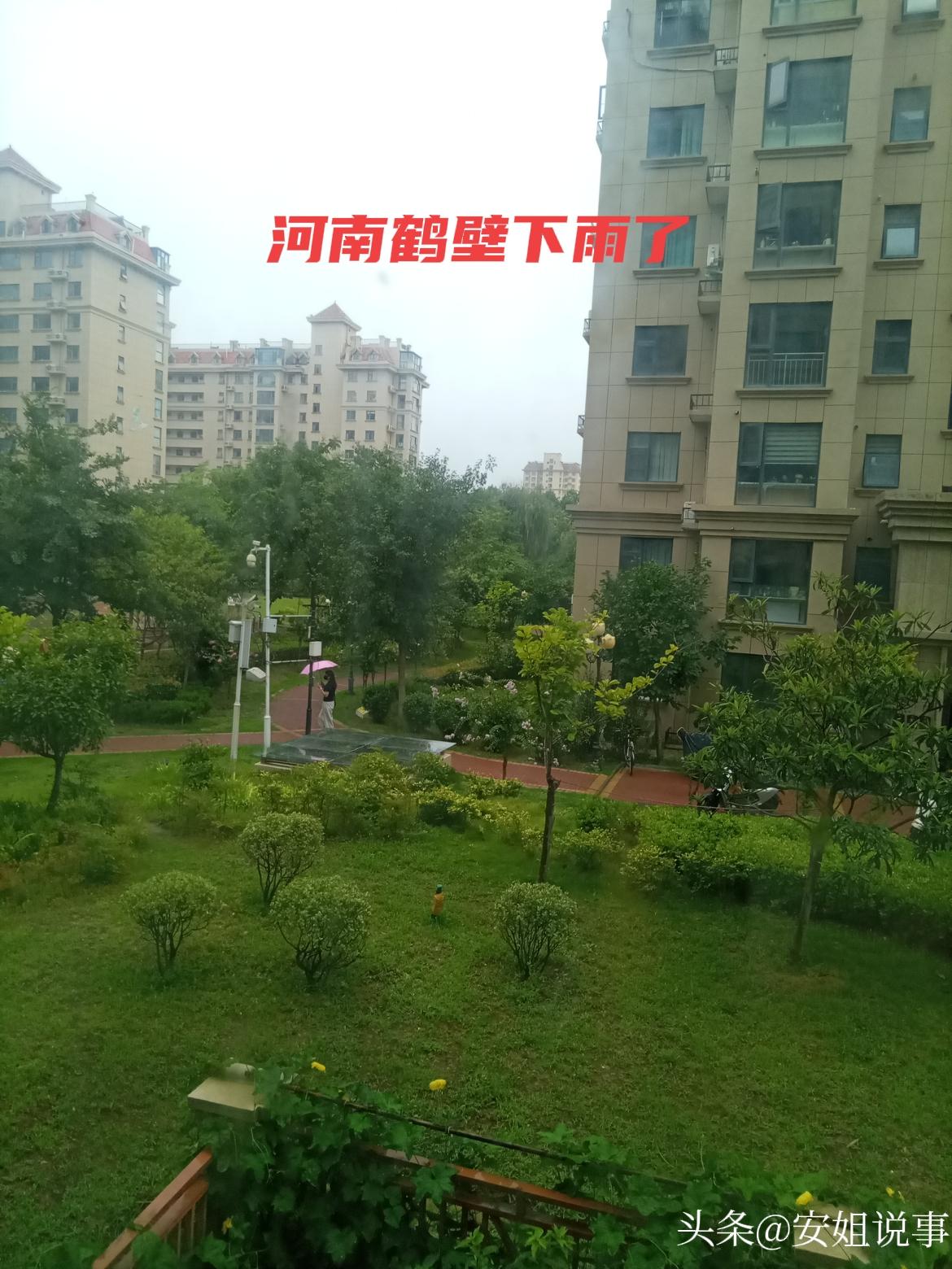 鹤壁下雨啦🌧️
 
河南鹤壁，此刻细雨如约而至。
 
细密的雨丝静静飘落，褪去