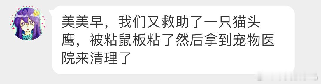 #鸟粉投稿# 粘鼠板上发现一只【领角鸮】（猫头鹰🦉它大概是想抓上面的老鼠🐭，