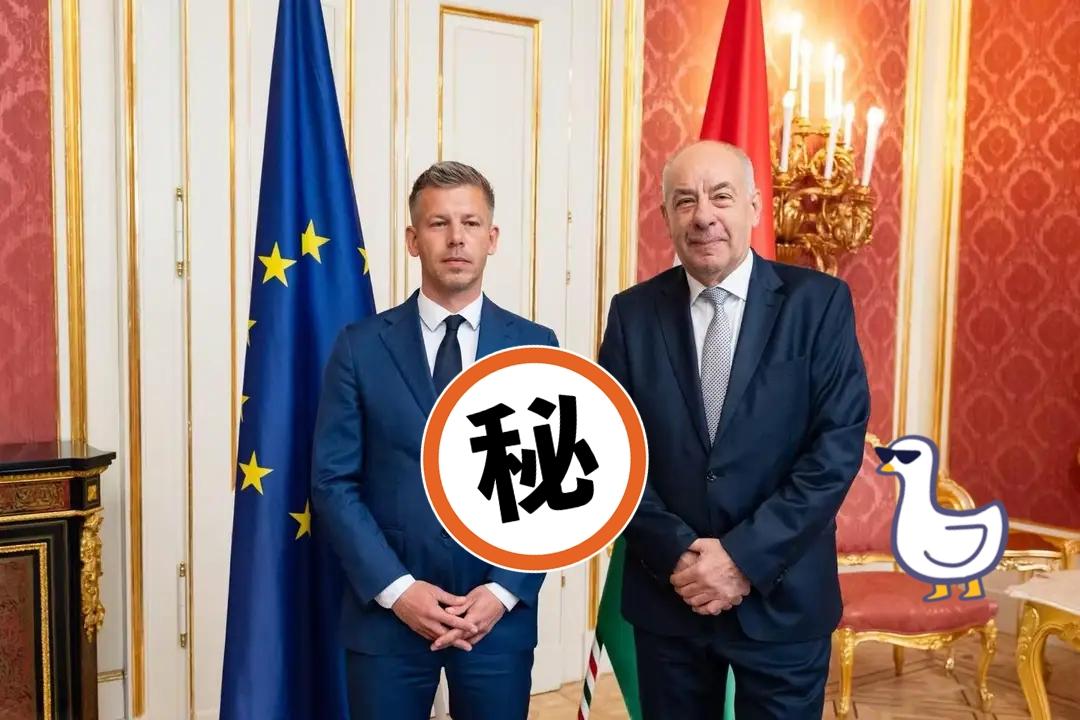 匈牙利总统舒尤克15日邀请蒂萨党主席毛焦尔·彼得组建新政府。舒尤克称，已告知蒂萨