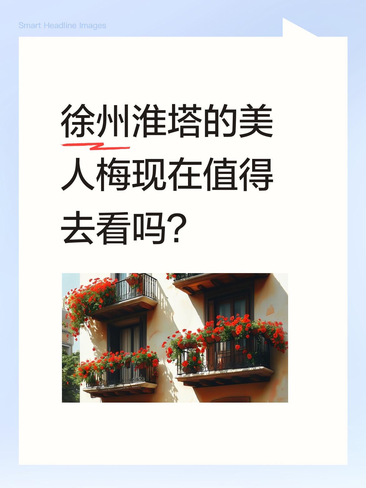 徐州淮塔的美人梅现在值得去看吗？
又到淮塔美人梅最佳观赏期，满树粉白花朵绽放，成