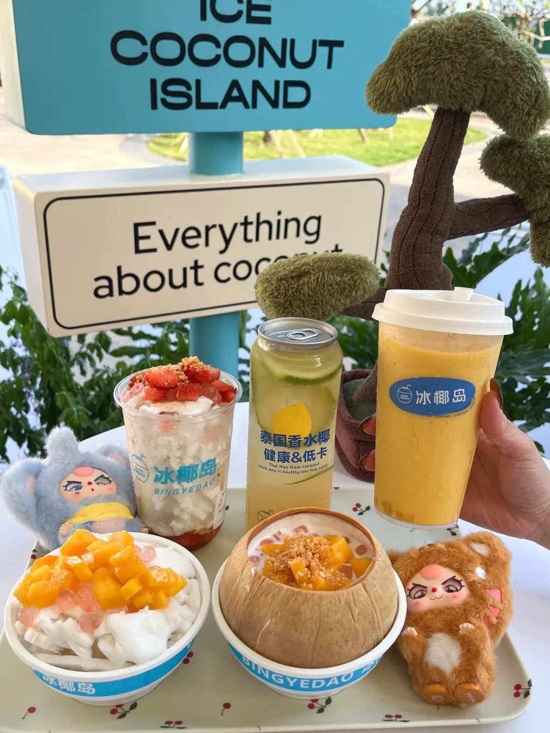 火遍🔥三亚的冰椰岛椰冰！也是吃上了。。