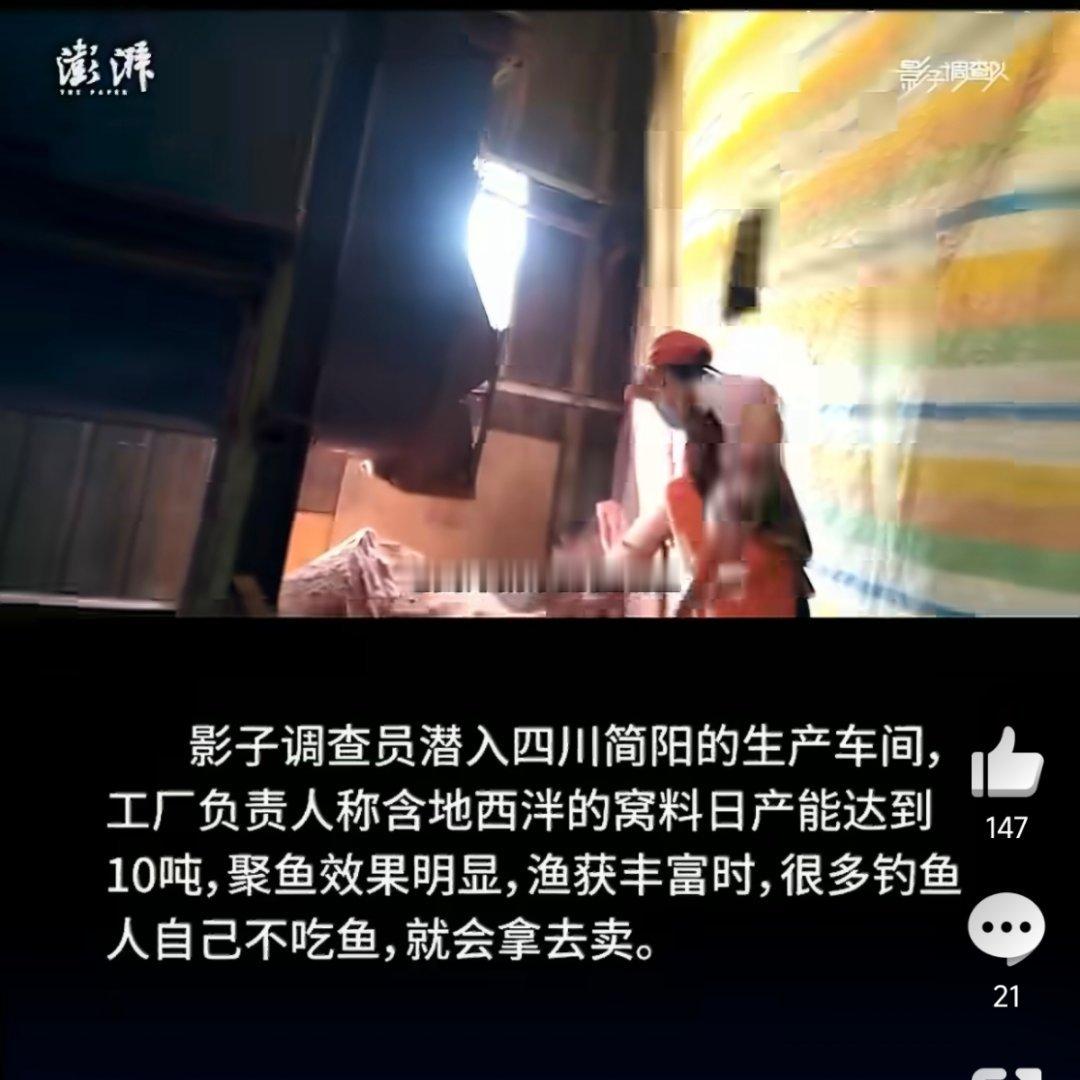 日产十吨的安定饵料生产线曝光¹ 你们看，昨天就说了自己钓鱼也不一定安全。因为全国