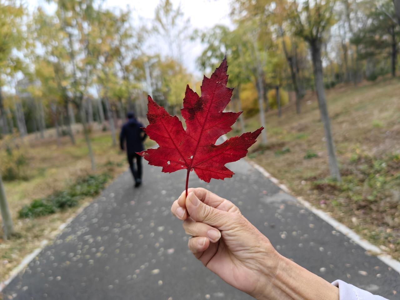 1. 深夜书房
   你加班至深夜，揉着发酸的眼。他推门进来，无声地放下一杯温热