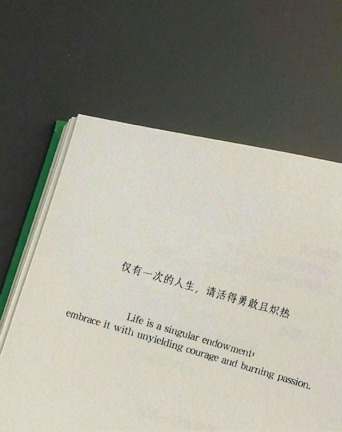 “仅有一次的人生，请活得勇敢且炽热” 