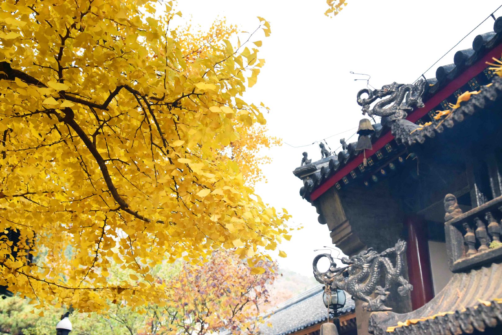 孝顺并非无底线顺从年迈父母，即便他们时常遗忘旧事，也无需厉声指责，只需放下苛责，