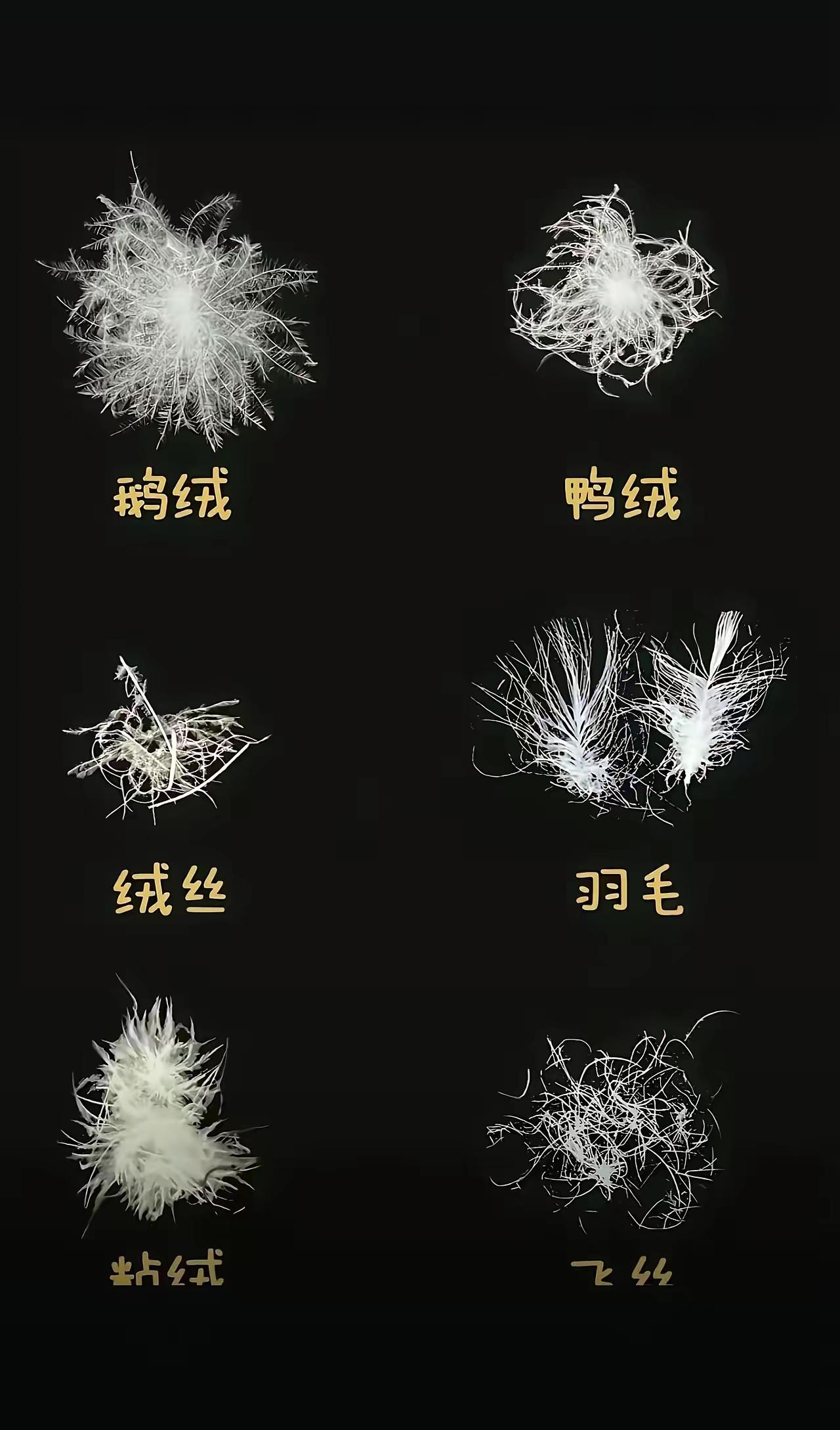 今年再也不敢买羽绒服了[捂脸]
穿了那么多年羽绒服，
原来穿的都是假的，
看看你