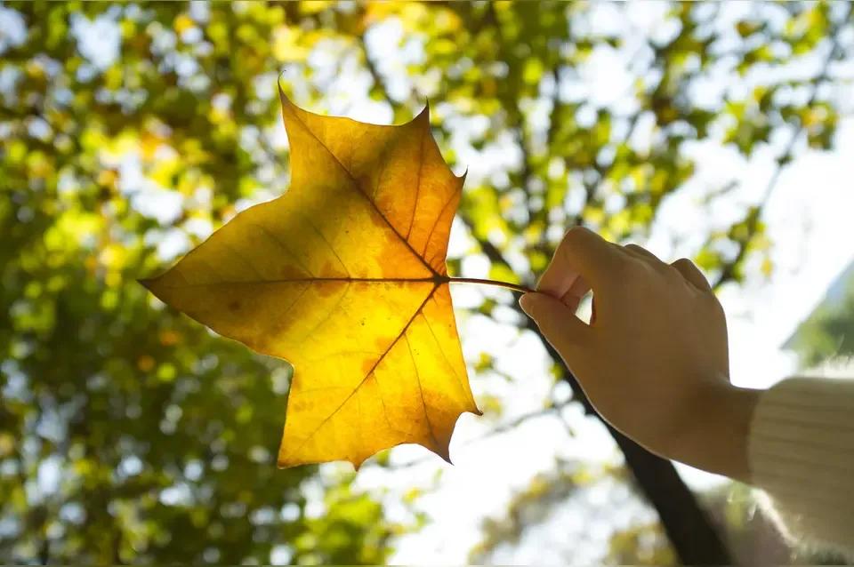 实在词穷，就摘一段话共享：生活很苦，自己加糖，乐观和爱，才是生活的解药，今天不容