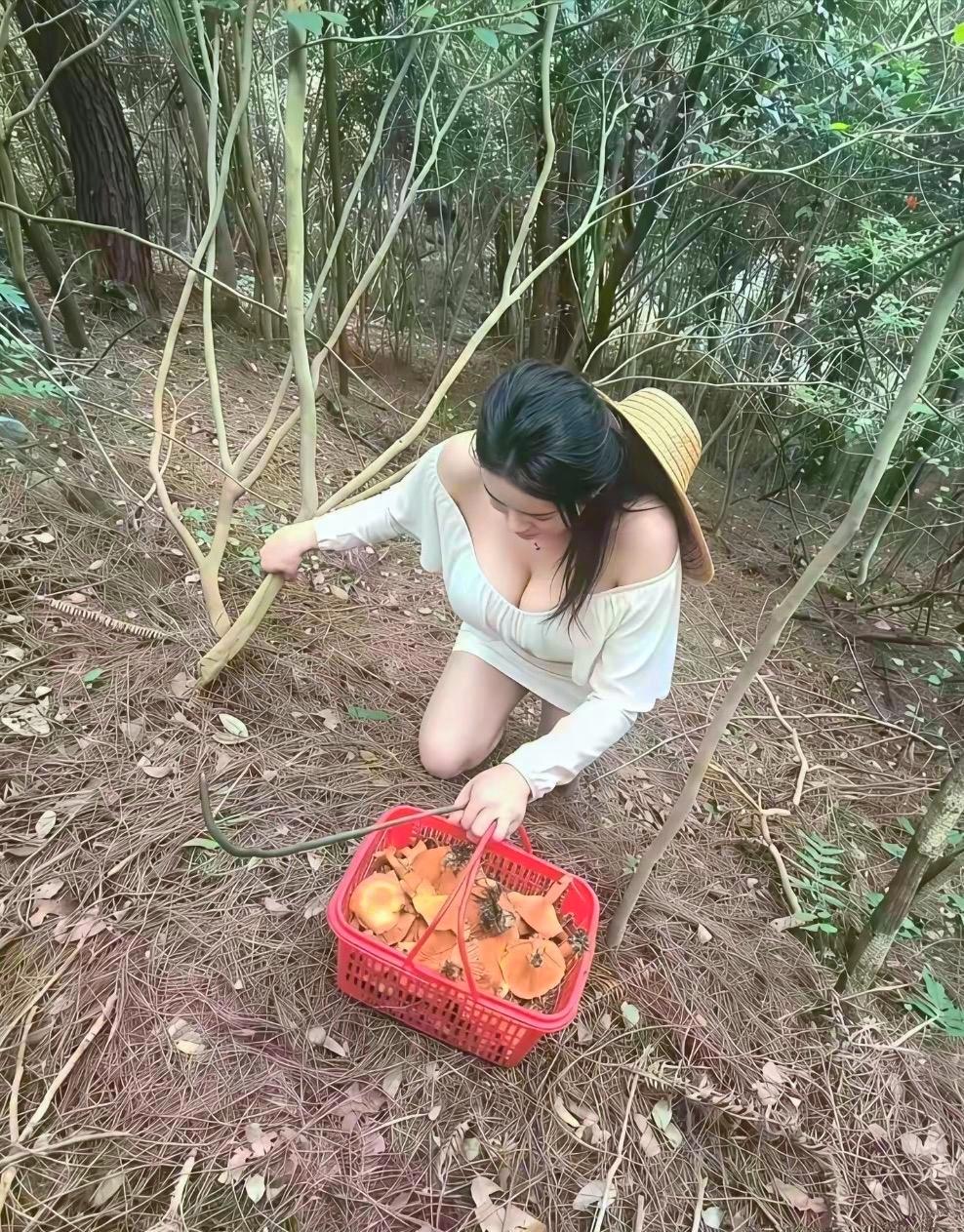 今天上山采蘑菇的收获，慢慢的一筐，怎么吃合适呢？