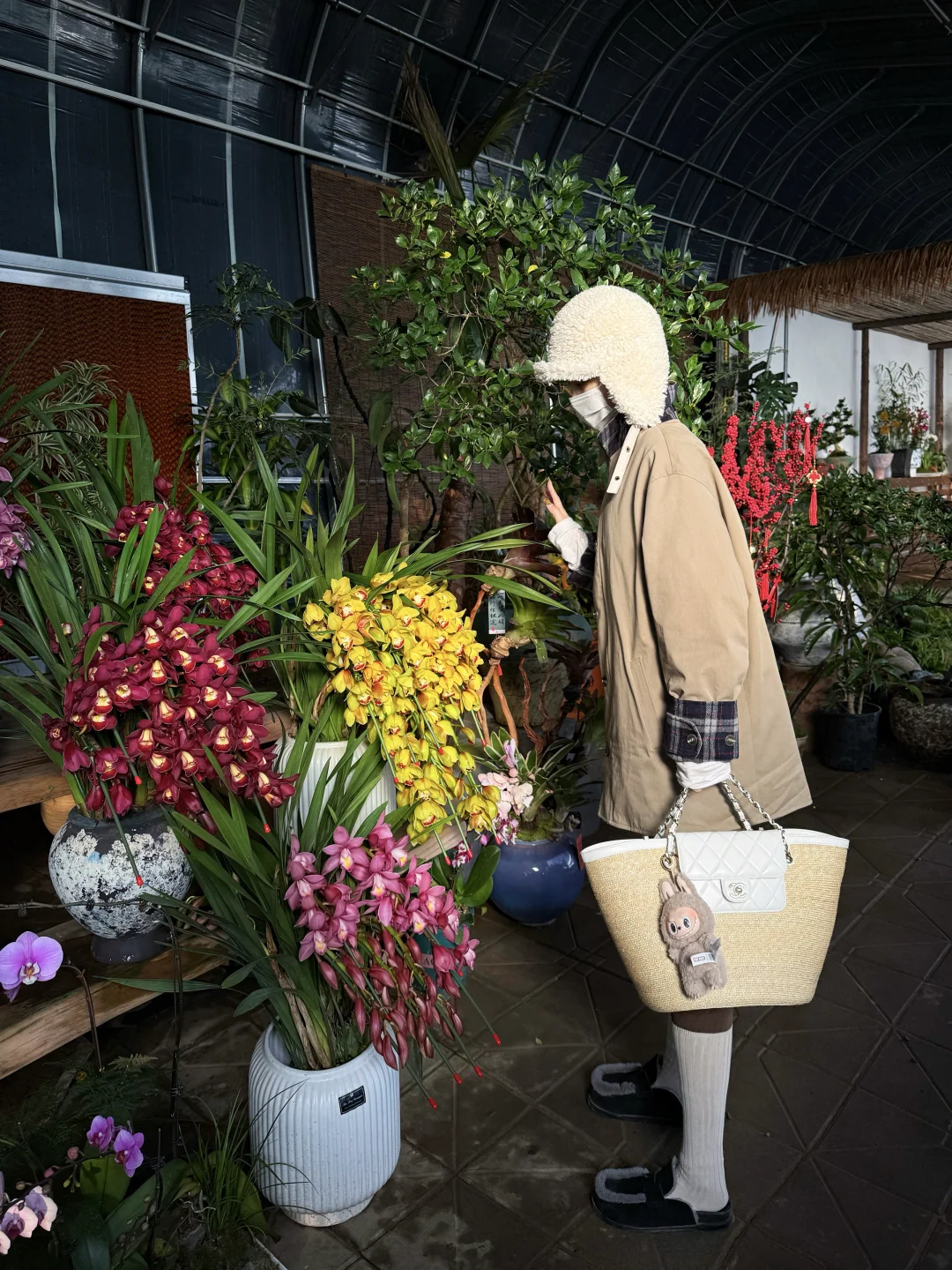 去花卉市场买花过年了｜迎接2026新年💐