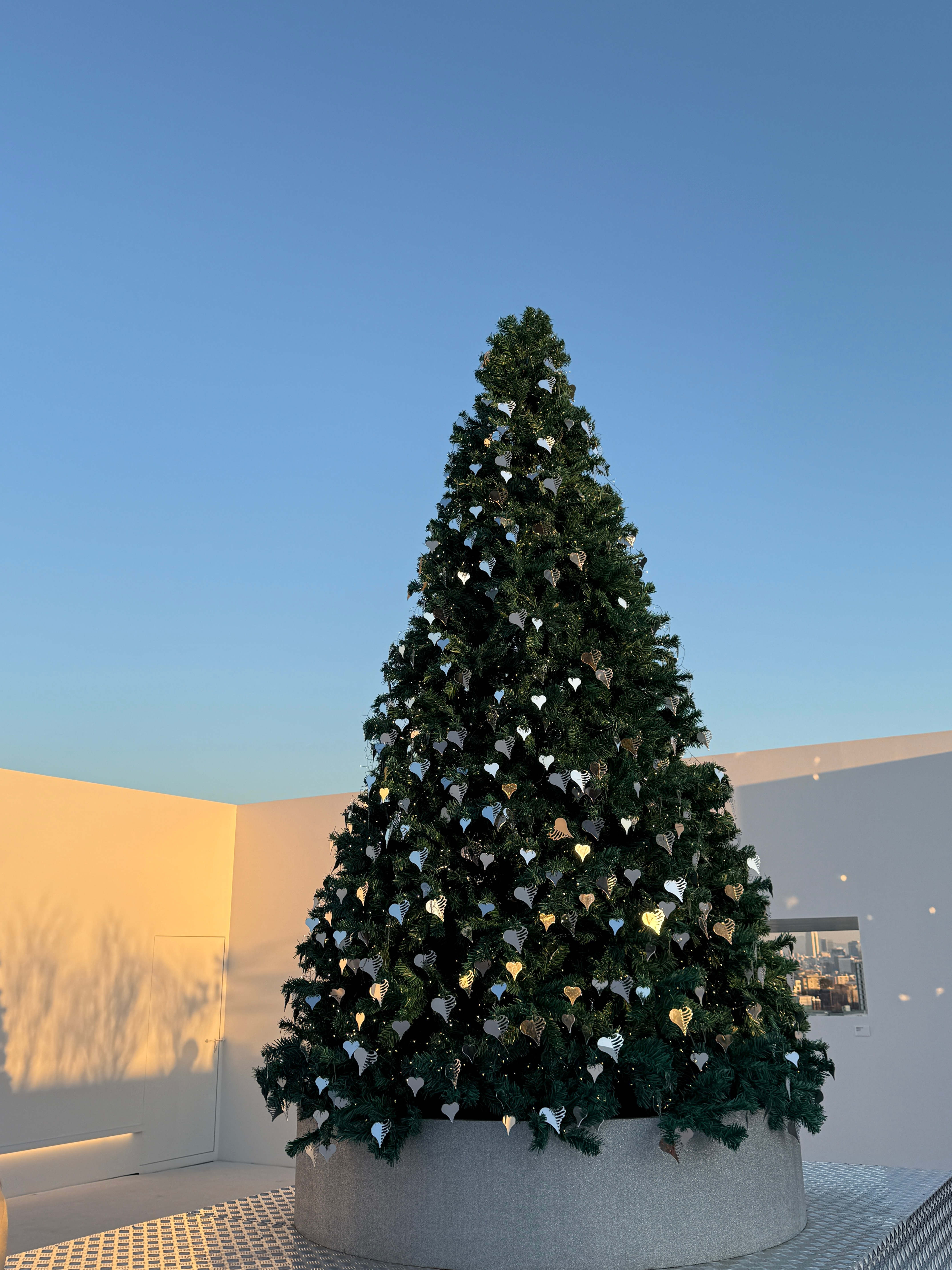 ▸ 🤍 𝕄𝕖𝕣𝕣𝕪 ℂ𝕙𝕣𝕚𝕤𝕥𝕞𝕒𝕤🎄⁺₊˚🧣