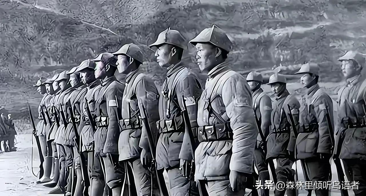 长征留守红军大揭秘：被留下的“弃子”，为何最终成了新四军的钢铁脊梁
 
很多人对