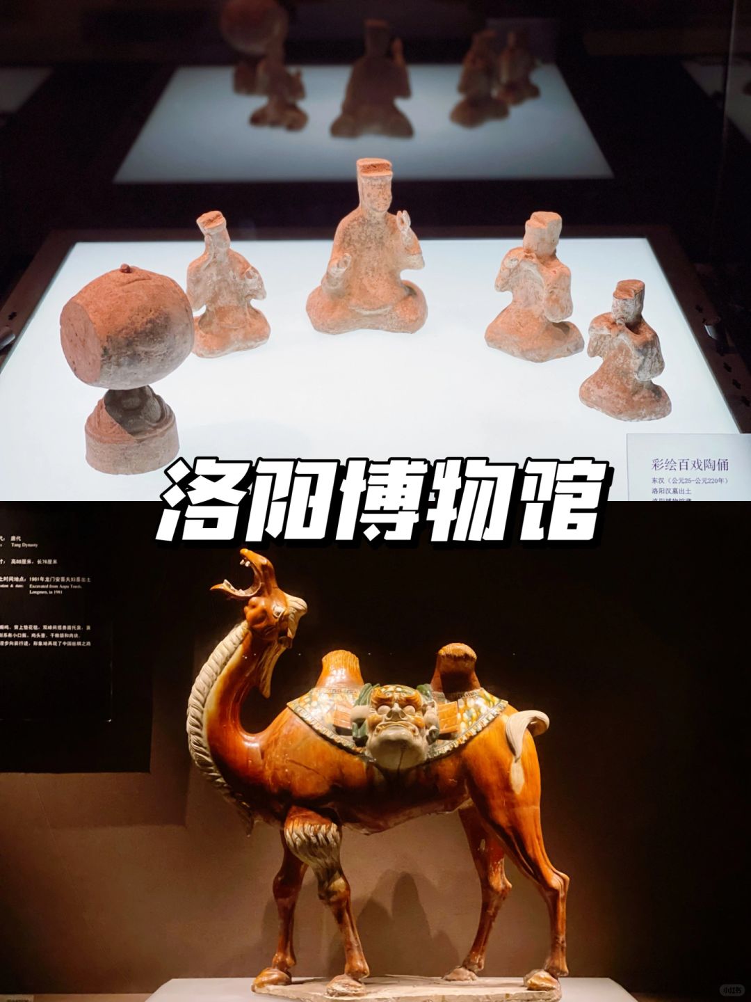 洛阳｜洛阳博物馆必看攻略