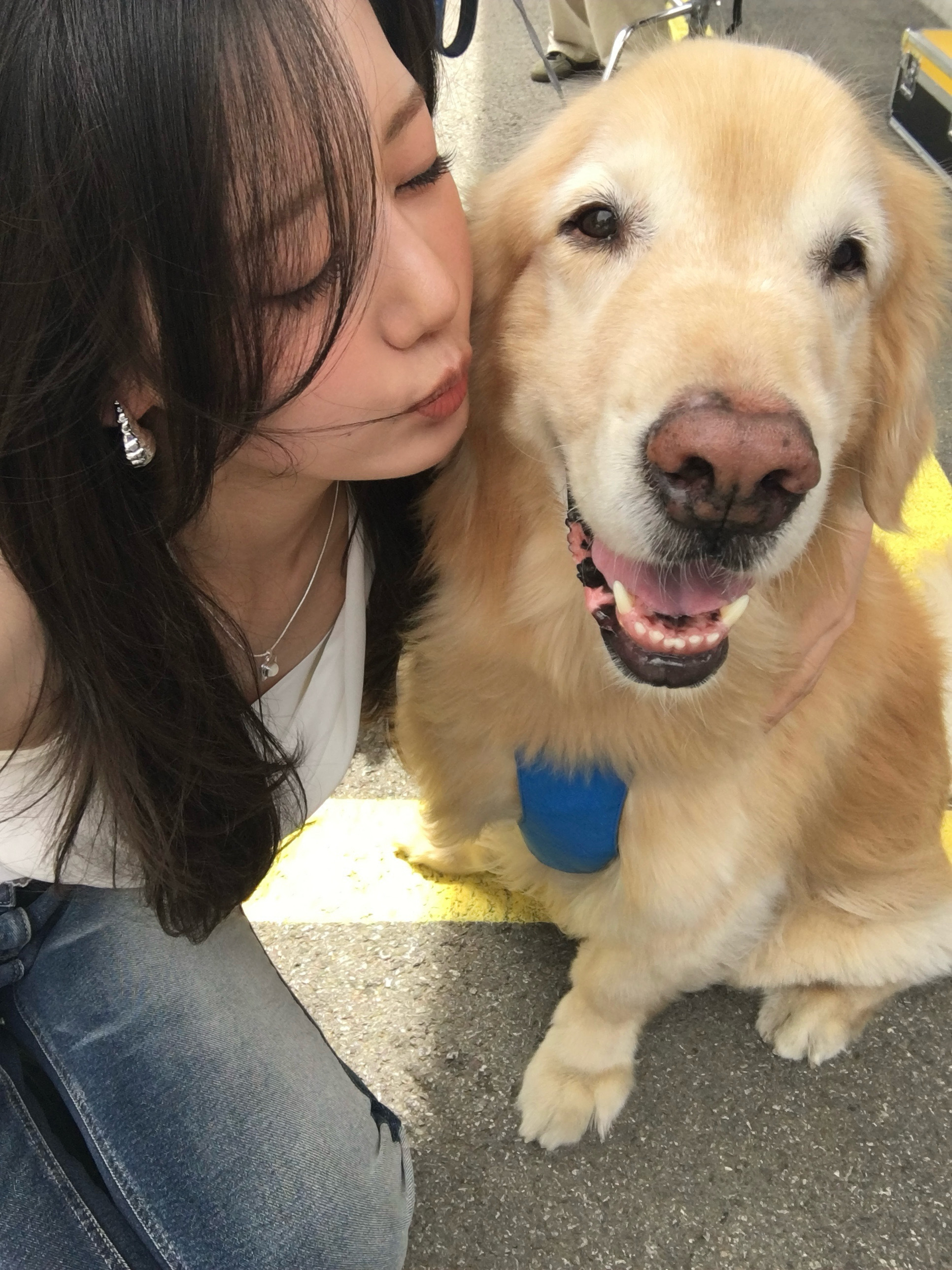 爱狗仁士 