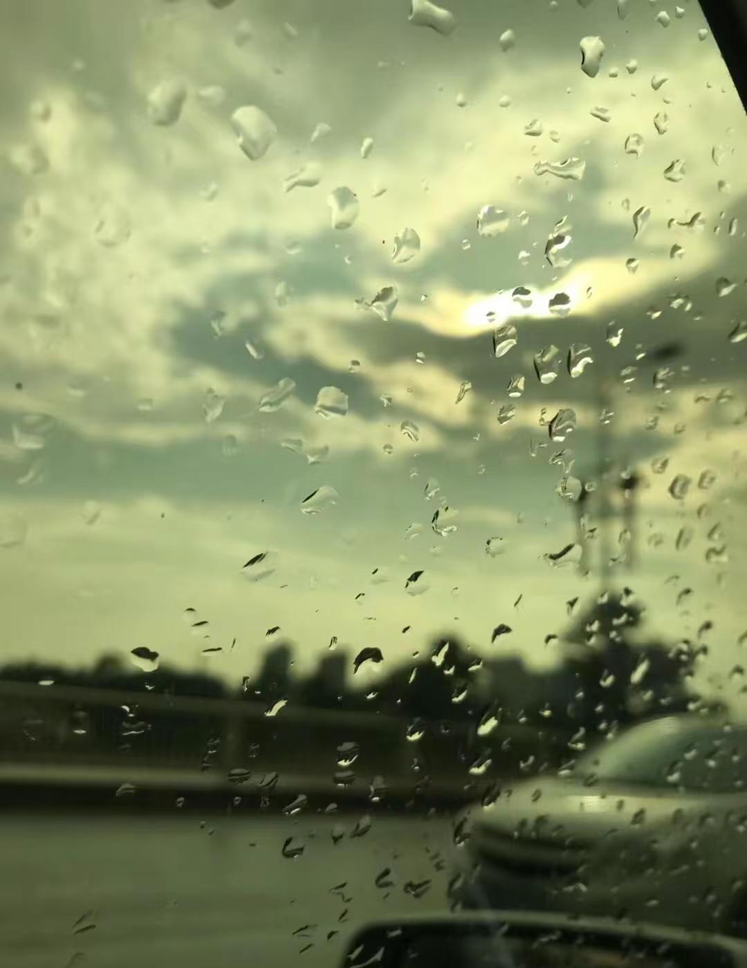 迎接〝暴力梅〞雨季！不是下几天雨，是下半个月的雨！手机天气预报显示，我数了数，未