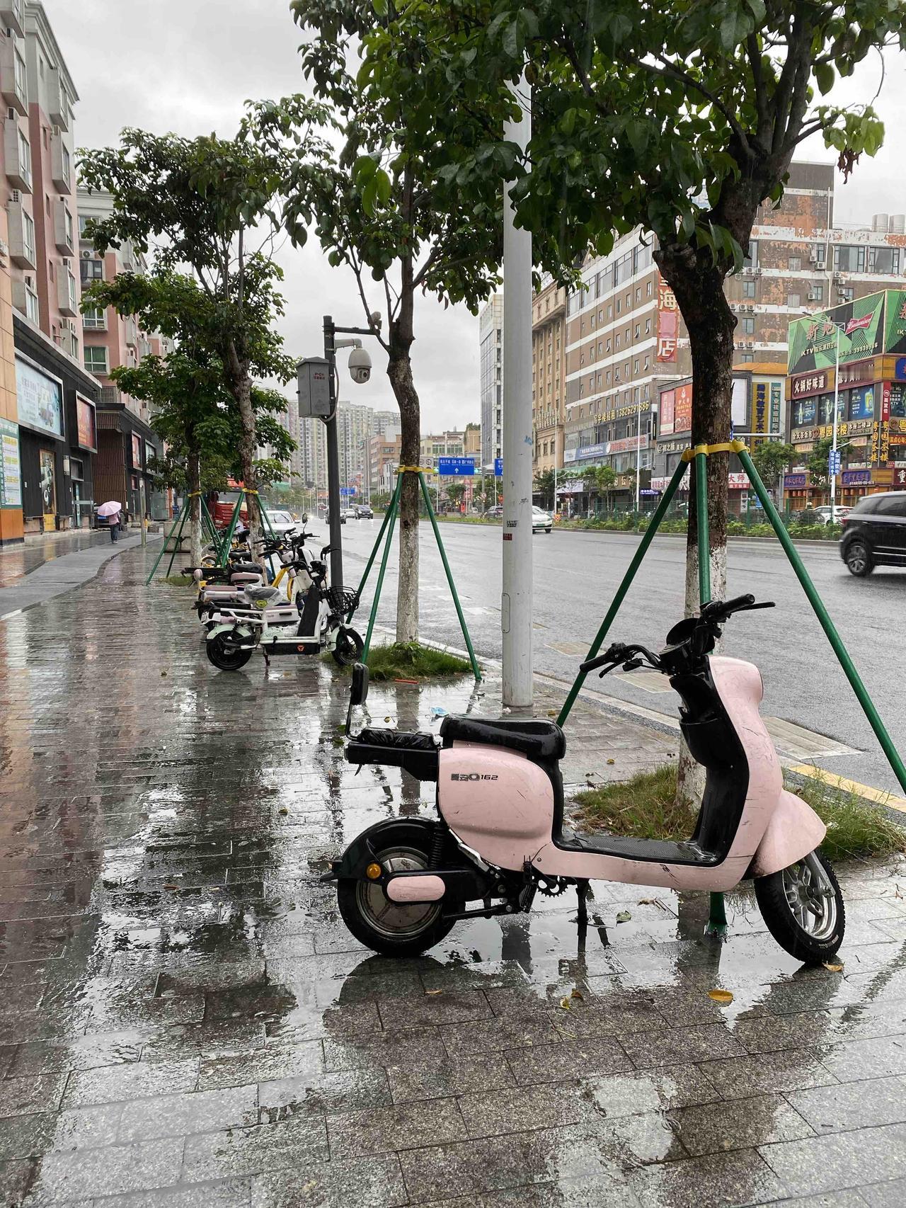 夏天要来了，天气说变就变。前几天是天气晴朗，这两天阴雨绵绵。

今天从早上小雨，