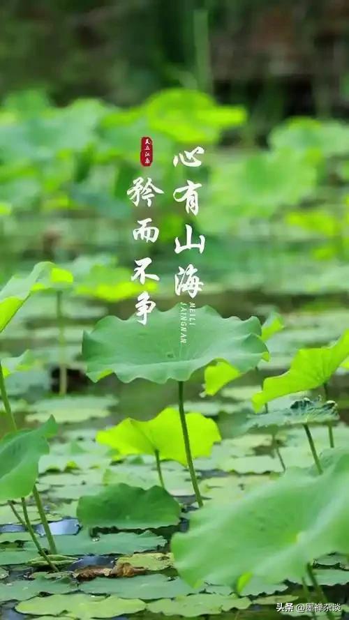 醍醐灌顶的一句话：
“人真正开始变强，是从敢翻脸开始的。尤其是那些规矩了一辈子的