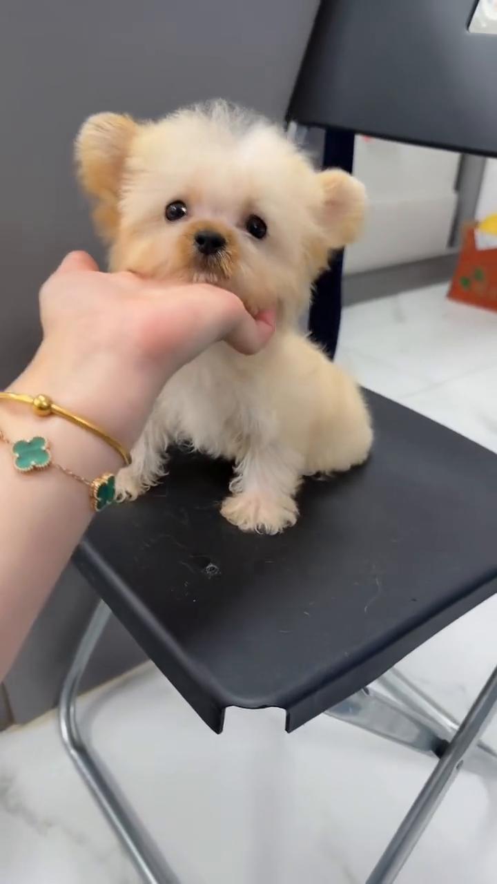 五号之前起的新号，如果你也是新号，我们一起加。五号之前起的新号，如果你也是新号，