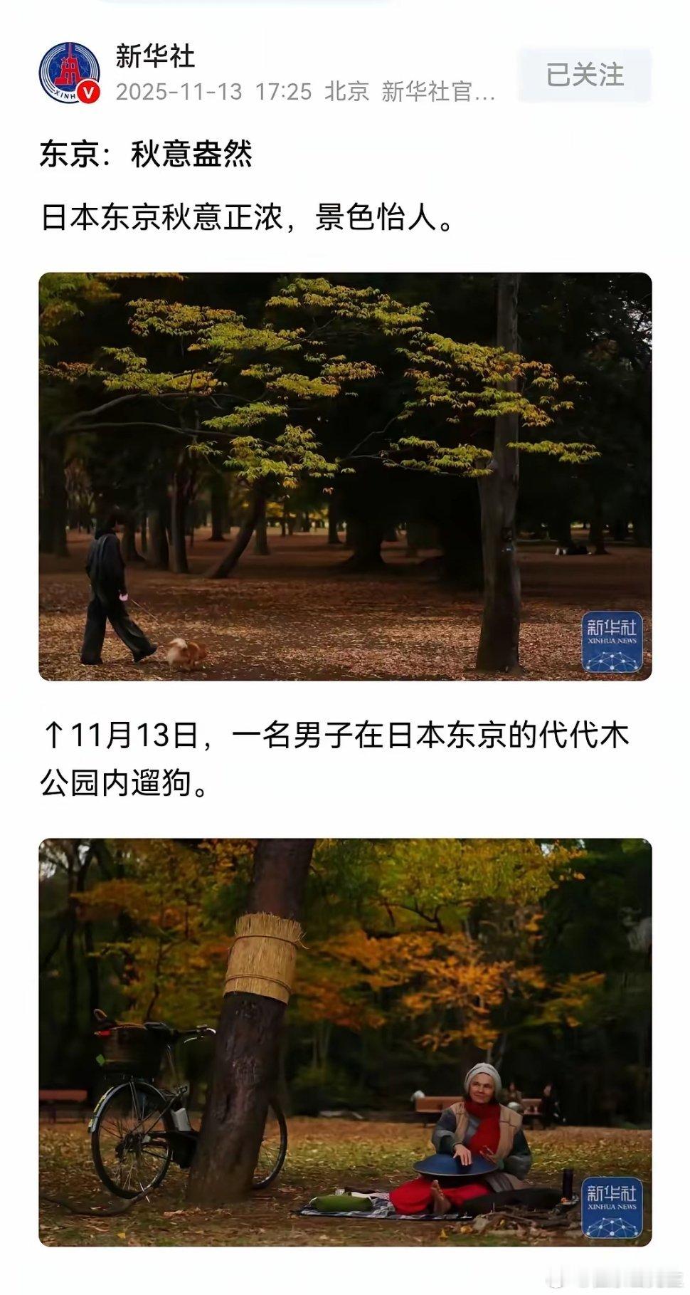 新华社:东京—秋意盎然在近期中日关系敏感，网上言论沸腾之际。看到这篇新闻，嘴角莫