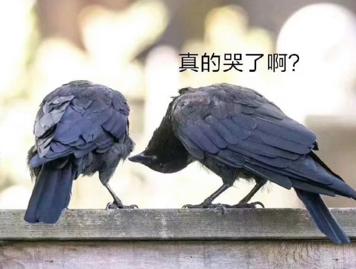 给世界静音，聆听四黑破防的声音