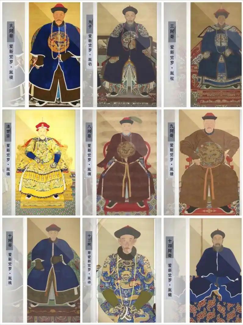 参与九子夺嫡的九位阿哥有失意，也有得意，综合来看谁是最惨的？

康熙晚年，皇权的