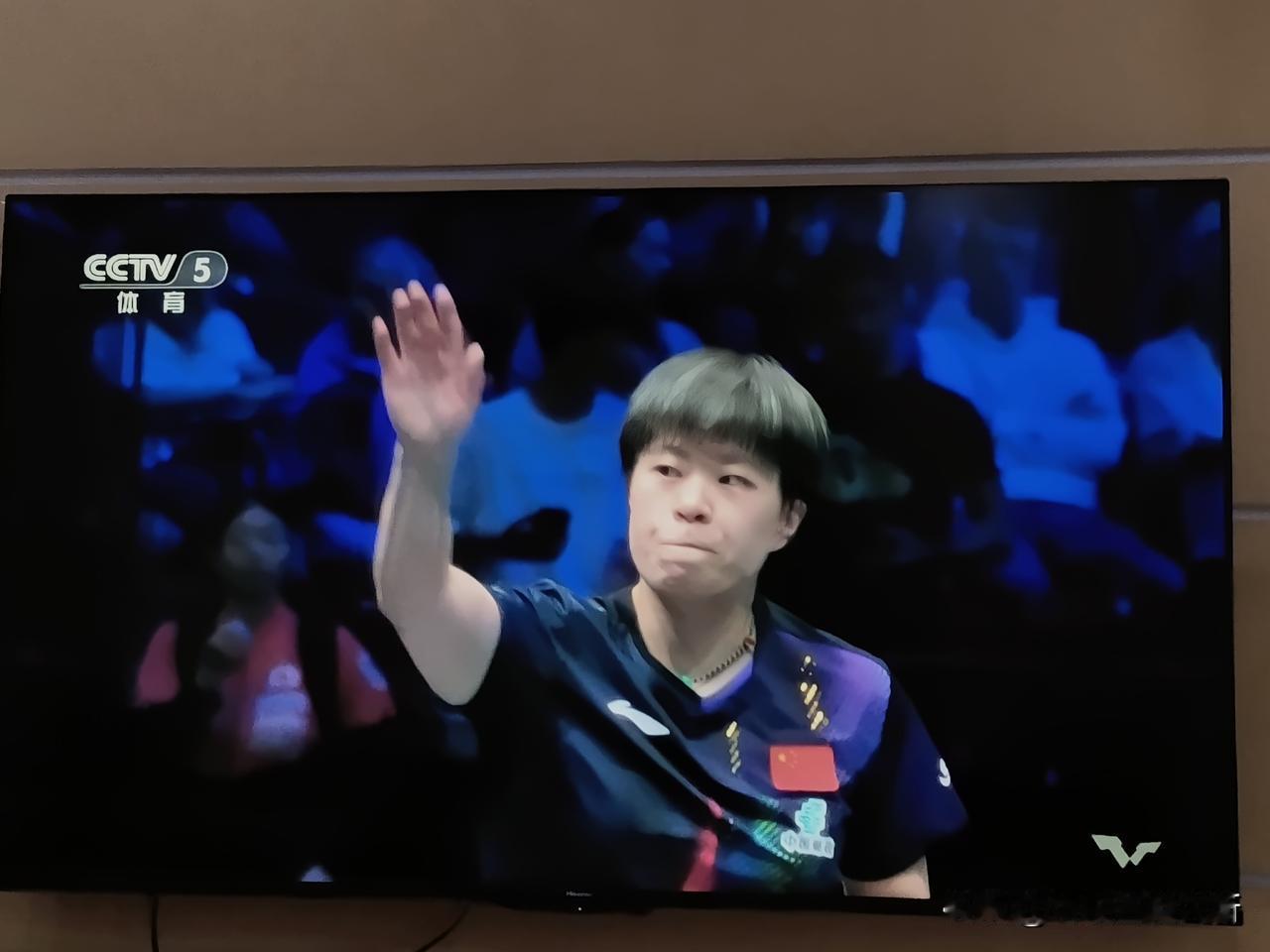 今晚王艺迪，把张本美和打停了！

刚结束的WTT欧洲大满贯女子半决赛，王艺迪4: