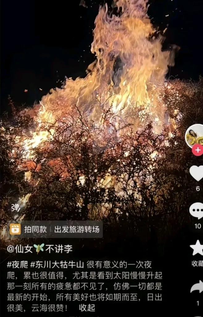 那些放火烧山的人真的牢底坐穿吧，高山野杜鹃一年的时间长不回来的，三年打底
最主要