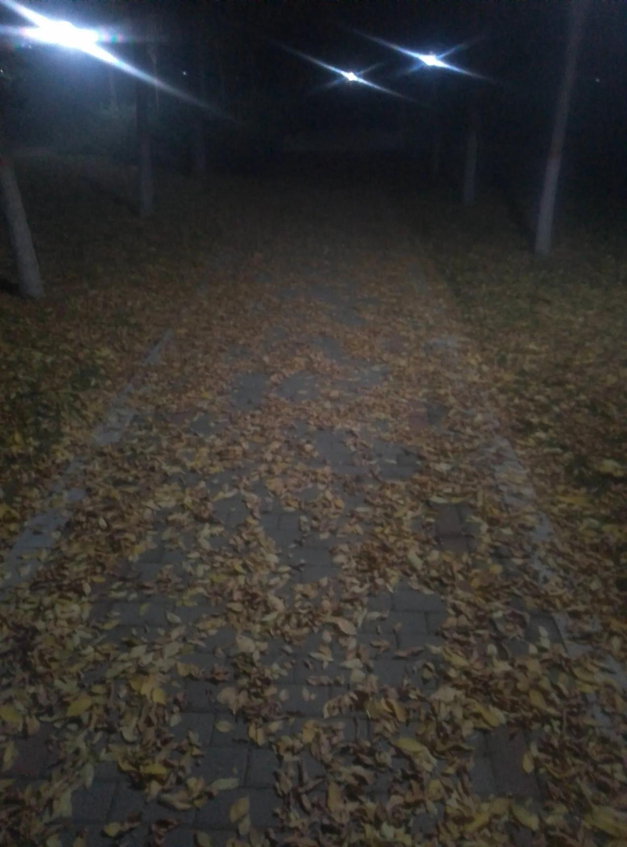 晒图笔记大赛深秋之夜，公园里的小路上，草木凋零，落叶纷纷，天凉好个秋！