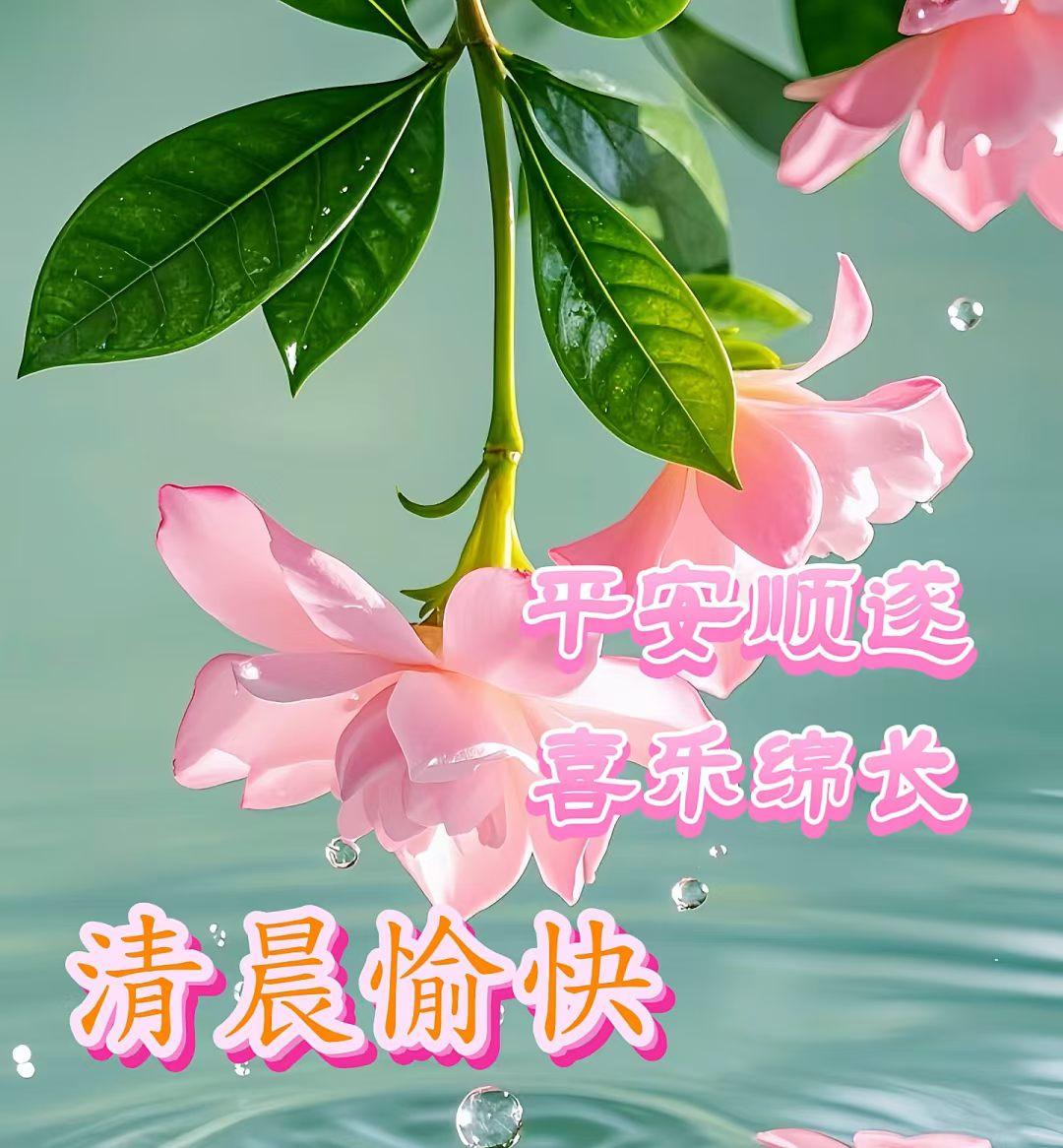 早上好，祝大家快乐开心，心想事成[送自己一朵花][送自己一朵花][送自己一朵花]