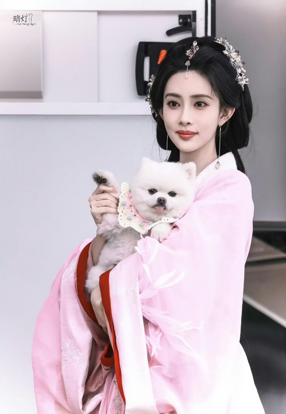 孟子义剧宣连狗都用上了我们巧克力又这样被美孟当工具狗了好可爱孟子义