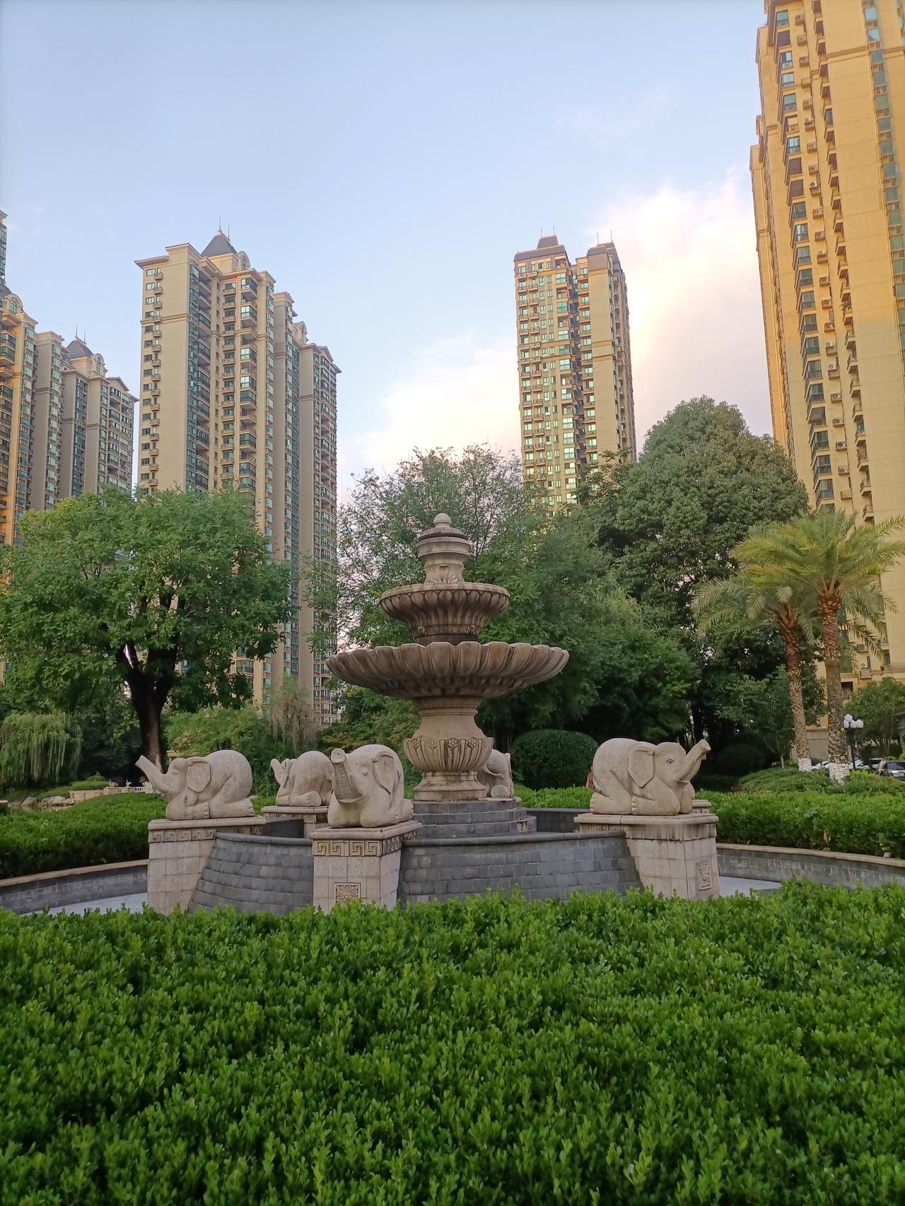 【人世间·xiao，Y的故事】夏日生活打卡季
她的网名中有一个Y。
她是他的小姐