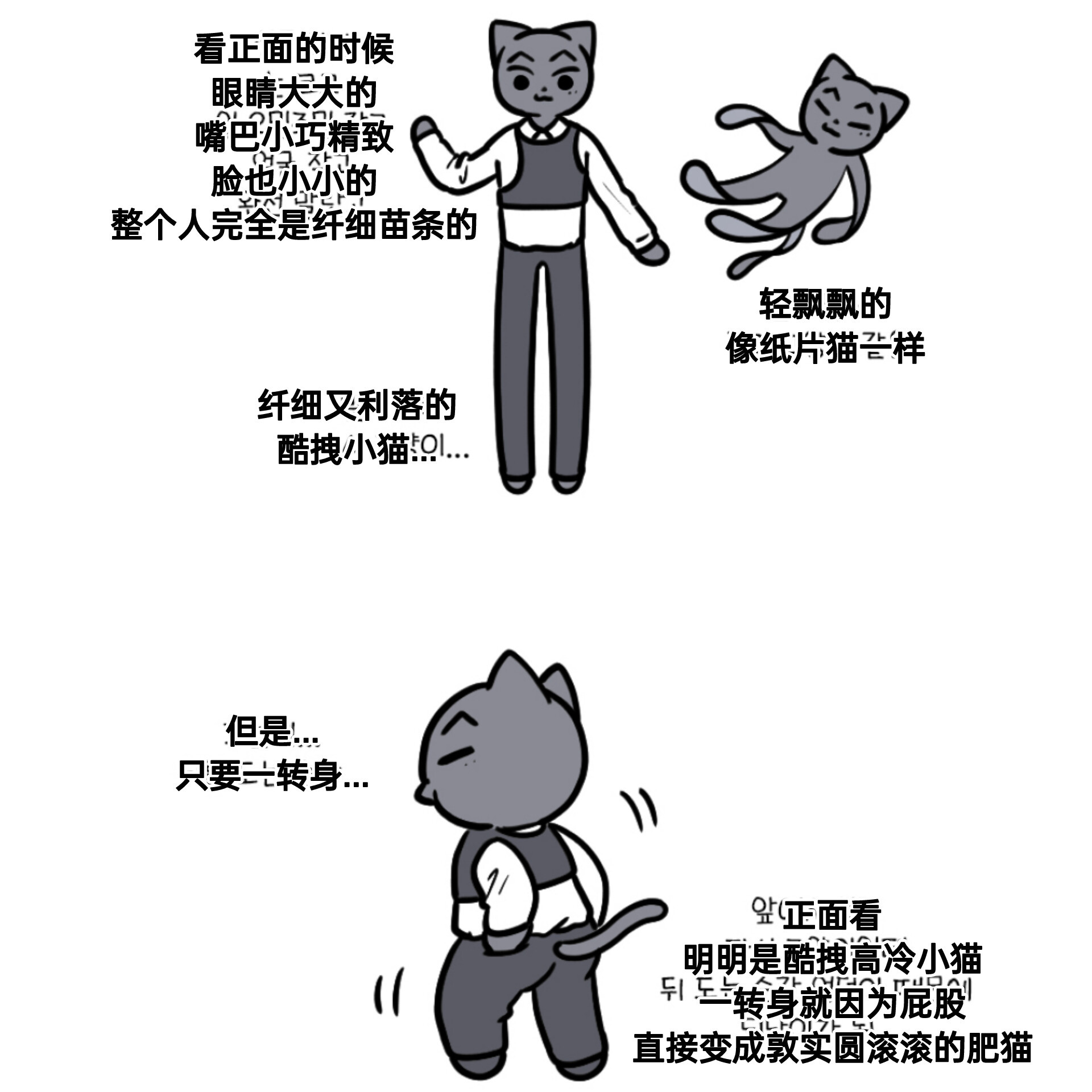 【🐈⬛】钟森森的真人就是这种感觉啊...©️mm1130mum 