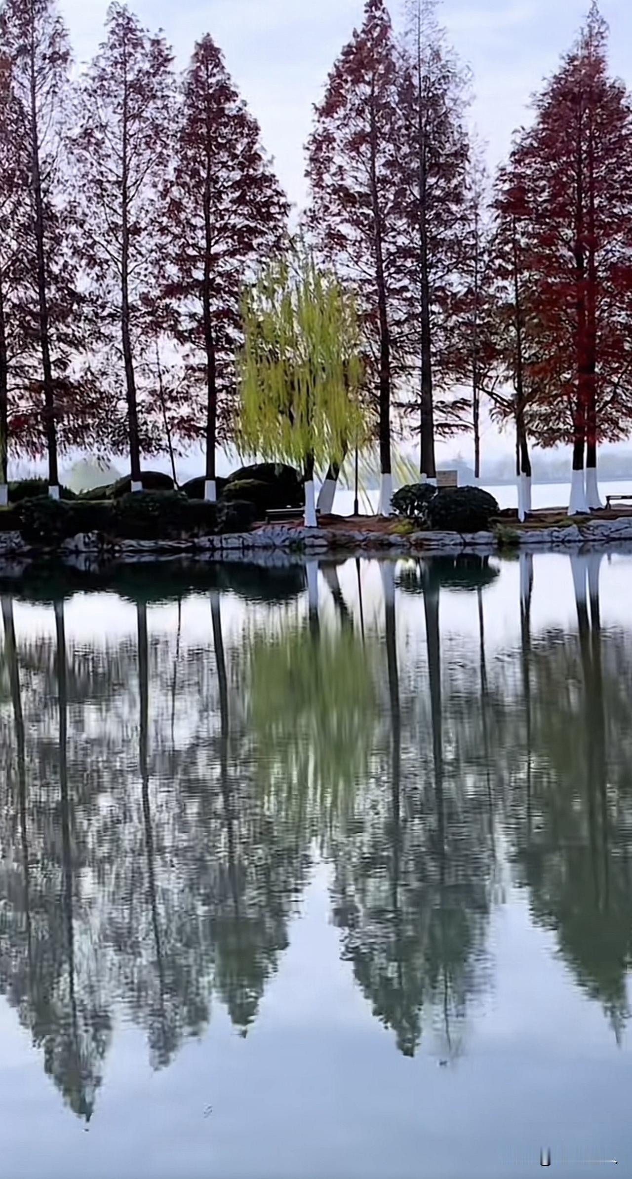 新思维：无论世界好坏，皆是报应，你应该高兴

世界的“好”是你过往善意的回声，“