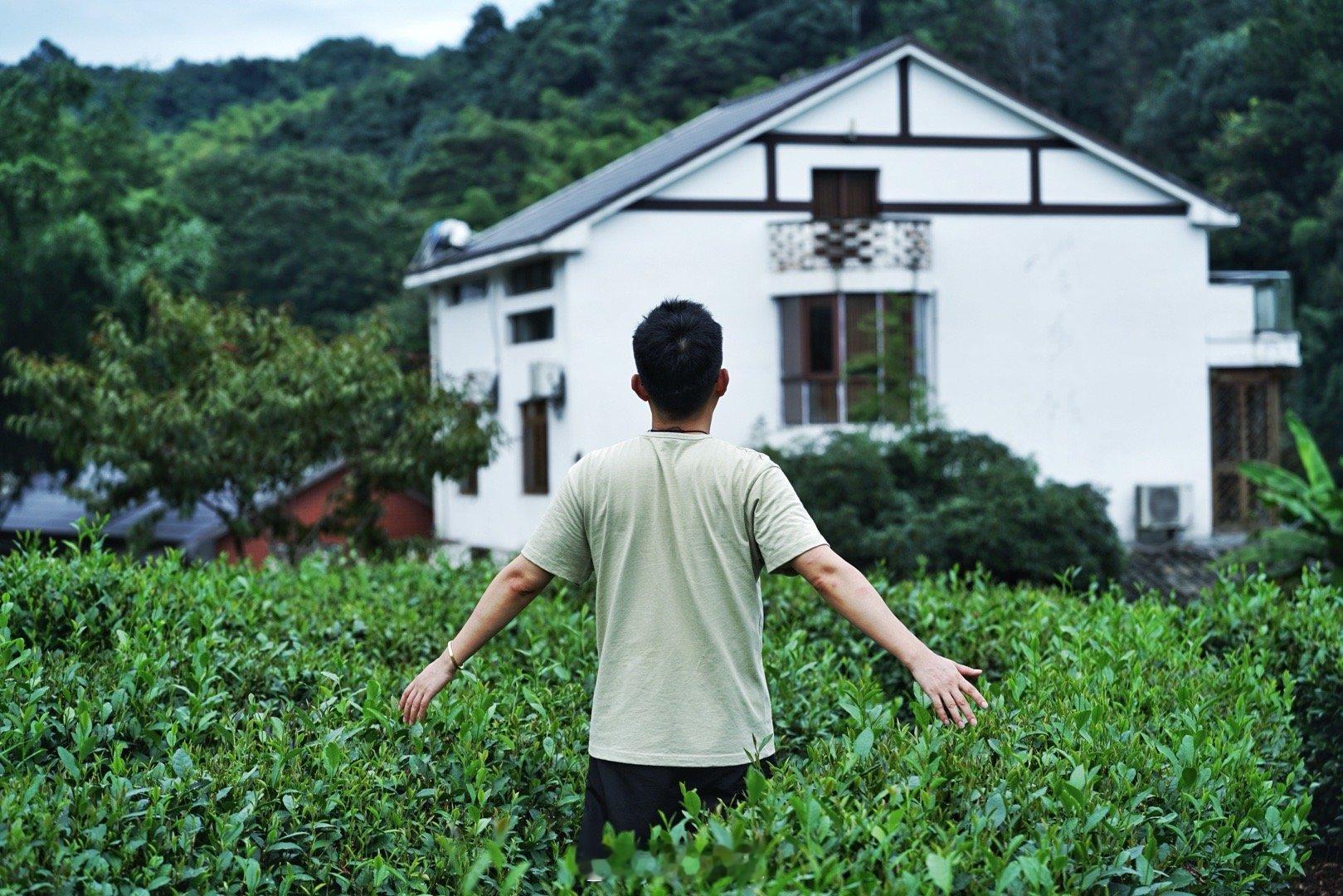 时间过的可真快啊，暑期就这样过去了。在夏日的绿意还浓郁的时候，来杭州洗洗眼睛吧。