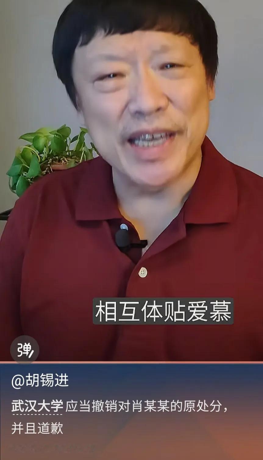 不妥！胡锡进要求武汉大学撤销对肖某的处分并道歉。

近日，我看胡锡进在视频上提出