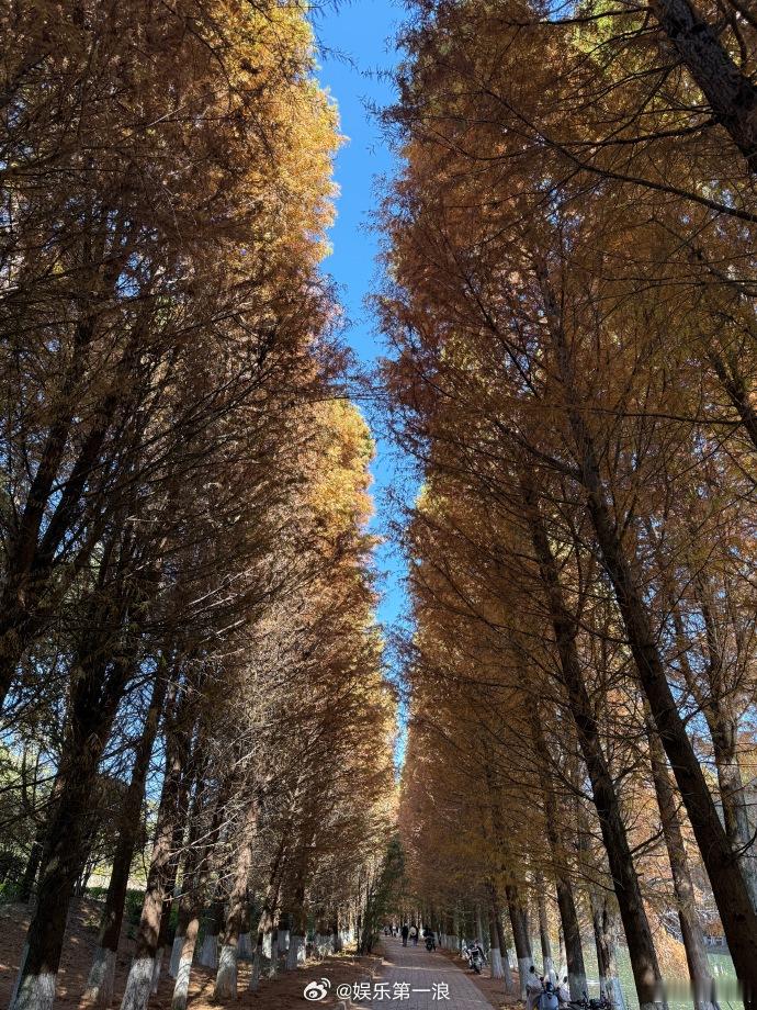 朱孝天悼念袁惟仁朱孝天发文悼念袁惟仁 ：“小胖老师…一路走好… ” 