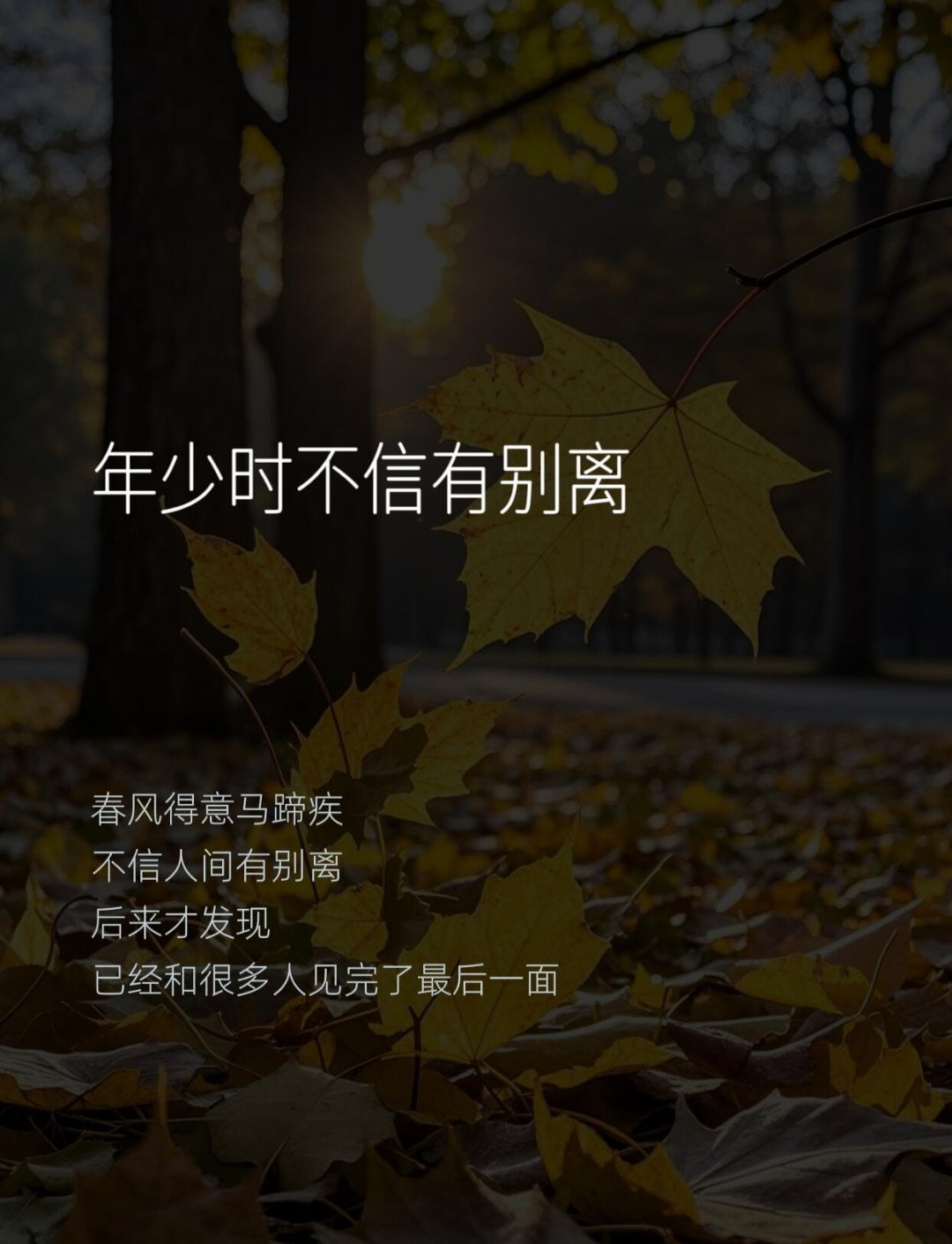 有些人，已见过最后一面一晃又一秋有的人再见有的人再也不见有的人见面需要坐车有的人