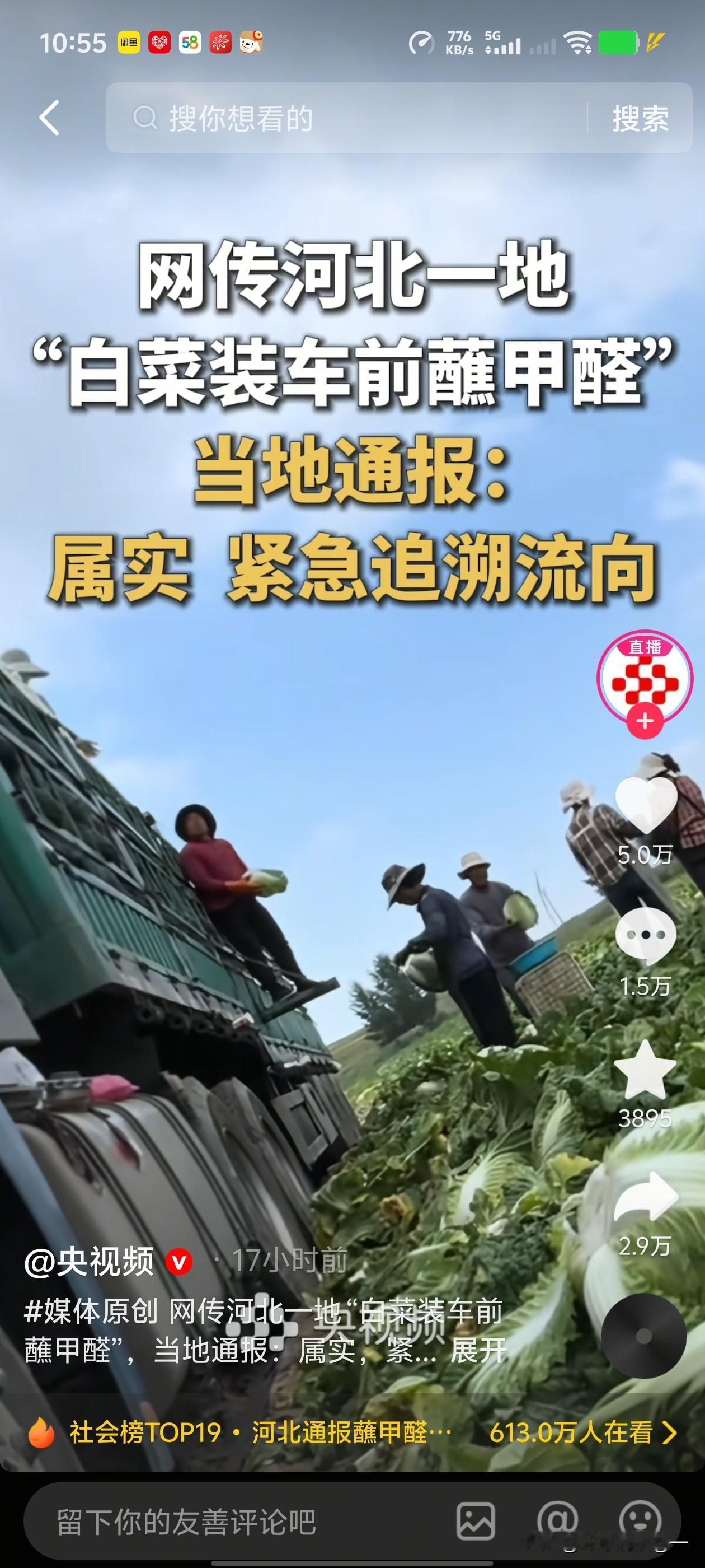 触目惊心！甲醛白菜事件，值得所有人深思。8.22日，甲醛白菜，靠自媒体实地拍摄爆