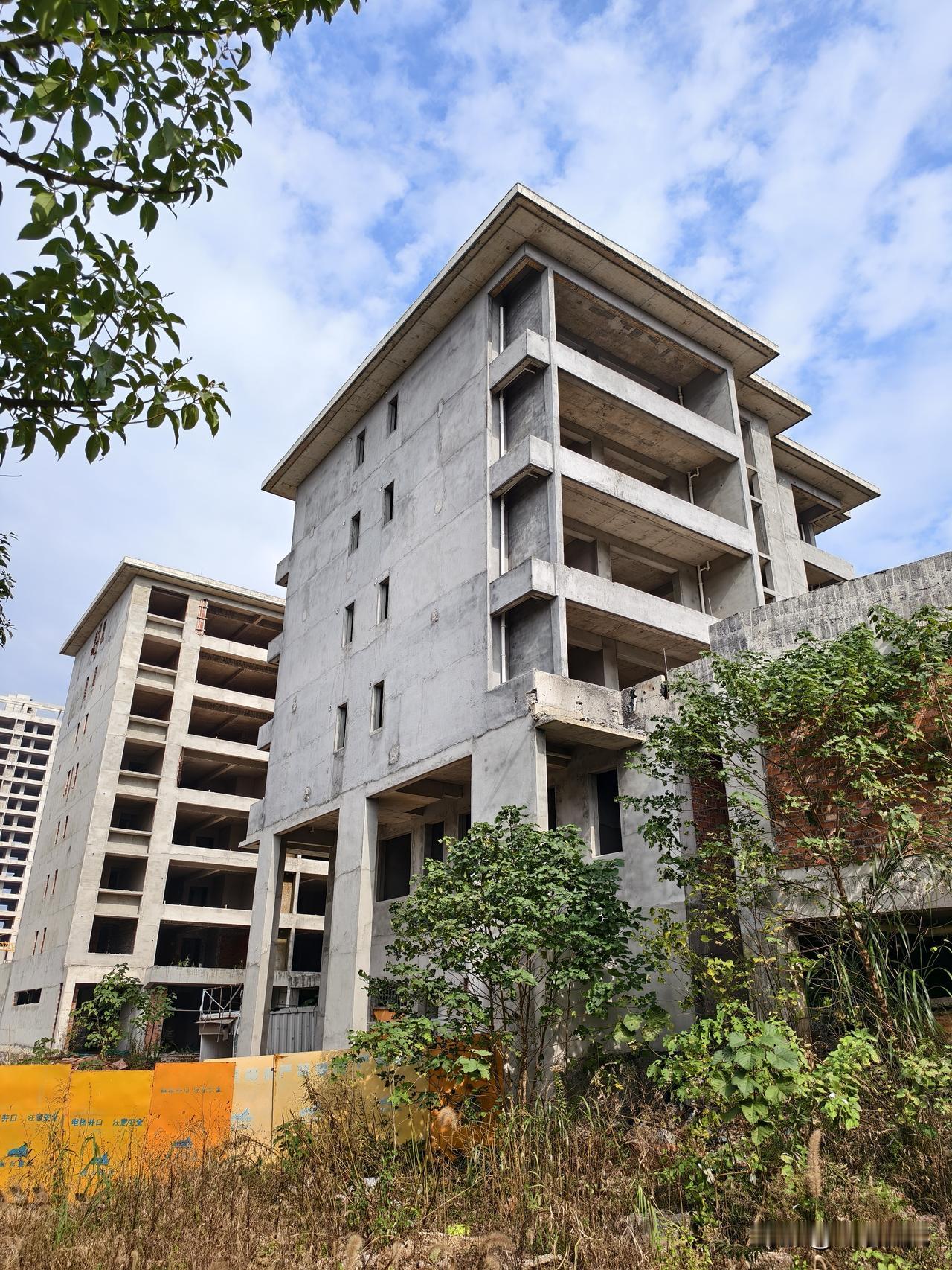 前几天出去，看到这些楼盘旁边已长满杂草，心想，不知道又是哪些冤大头买了这些房子。