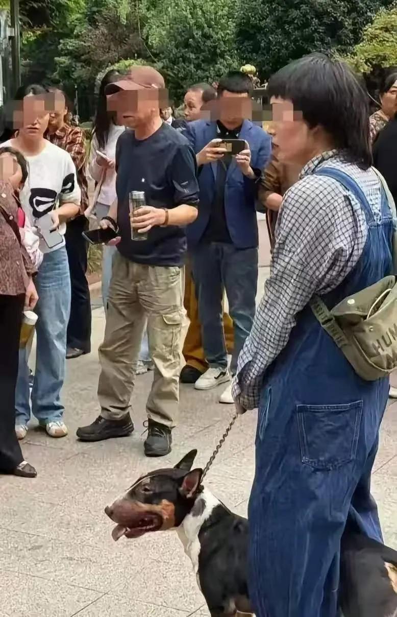 四川眉山咬人的牛头梗，会怎么处理呢？

第一、出事之后，这条狗已经被公安带走收容