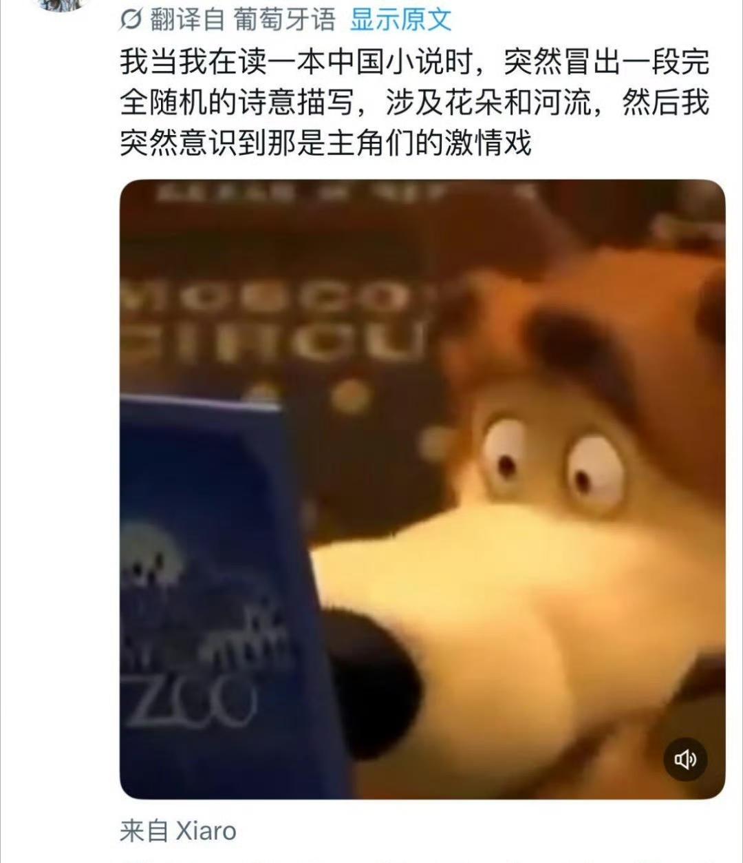 老外看中国网络小说激情戏，这也是没招了…但是对吗？再过五百年，估计得一万篇学术论