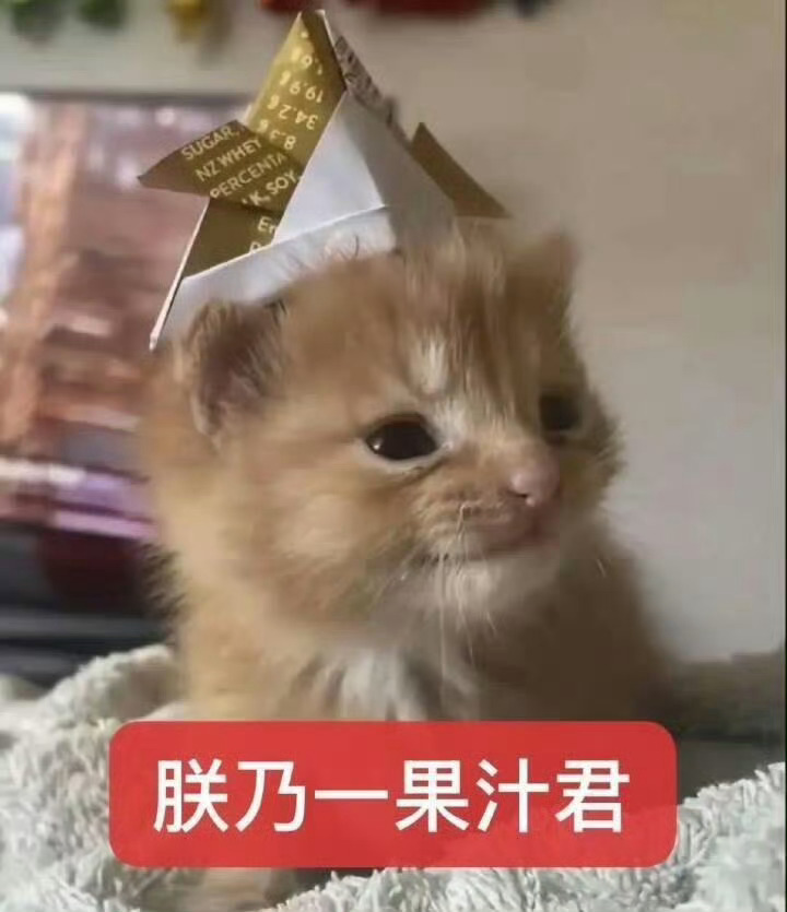 老公你们中午都吃什么咧！