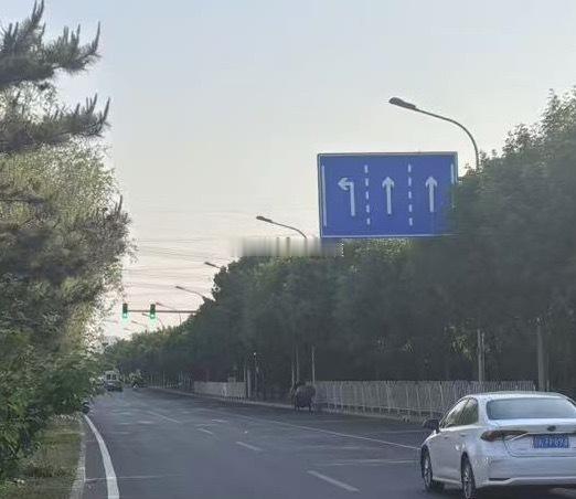 双桥路金田公园附近这个导向标识牌错了吧，地面只有一条直行左转道和另一条直行车道，